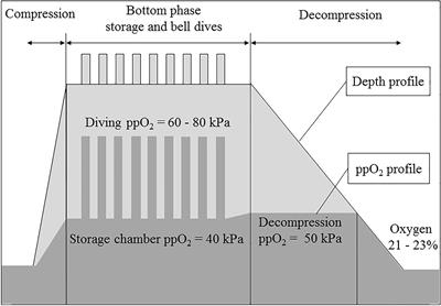 Commercial Divers’ Subjective Evaluation of Saturation